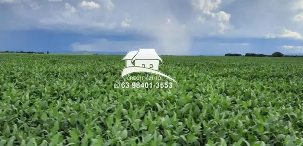 Fazenda/Sítio à venda, 1m² no Área Rural de Palmas, Palmas
