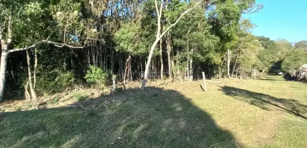 Lote/Terreno à venda, 26666m² no Bela Vista, Caxias do Sul