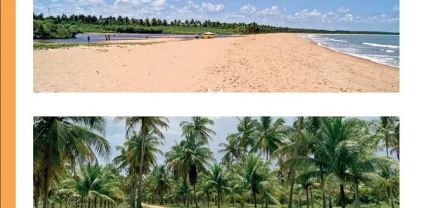 Lote/Terreno à venda, 5000m² no Mogiquiçaba, Belmonte