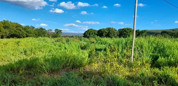 Fazenda/Sítio à venda, 30m² no , Buritis