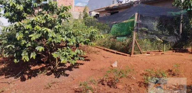 Lote/Terreno para alugar, 361m² no Residencial Parque Pavan, Sumaré