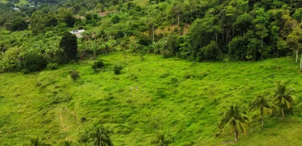 Lote/Terreno à venda, 4500m² no Comunidade Urbana de Jaboti, Guarapari
