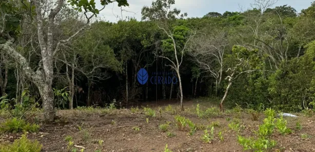 Fazenda/Sítio com 1 Quarto à venda, 3000m² no , Gameleira de Goiás