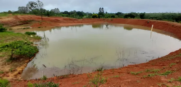 Fazenda/Sítio com 4 Quartos à venda, 280000m² no Setor Norte, Brasília