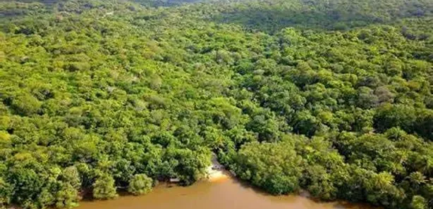 Lote/Terreno à venda, 2200m² no Açu da Torre, Mata de São João