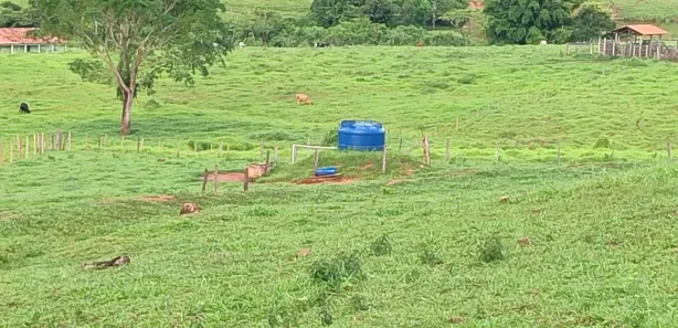 Fazenda/Sítio com 3 Quartos à venda, 2m² no , Jaraguá