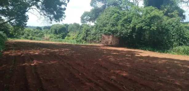 Fazenda/Sítio com 2 Quartos à venda, 55000m² no , Nerópolis
