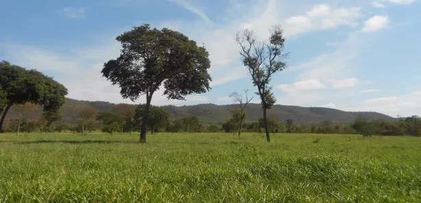 Fazenda/Sítio com 6 Quartos à venda, 14000000m² no Centro, Buenópolis