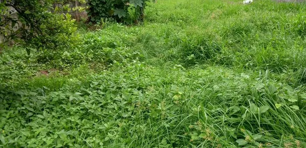 Lote/Terreno à venda, 350m² no Jardim Tropical, Itaquaquecetuba