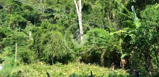 Fazenda/Sítio à venda, 2000m² no Comunidade Urbana de Jaboti, Guarapari