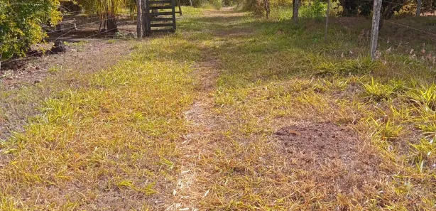 Fazenda/Sítio com 3 Quartos à venda, 210000m² no , Brasília