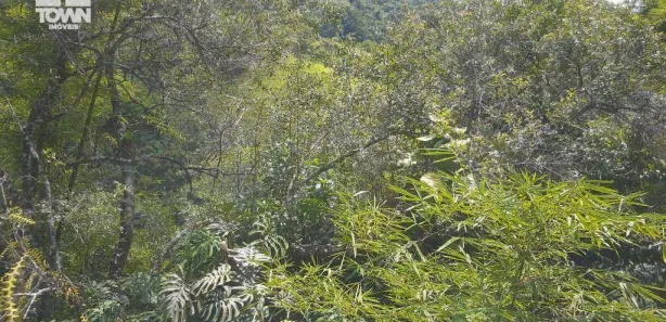 Fazenda/Sítio com 4 Quartos à venda, 200m² no Rio Dourado, Casimiro de Abreu