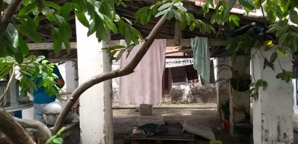 Casa com 5 Quartos à venda, 650m² no Nossa Senhora do O, Ipojuca