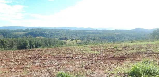 Lote/Terreno à venda, 270000m² no Centro, Lindolfo Collor