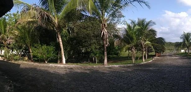 Fazenda/Sítio com 5 Quartos à venda, 12500m² no , Humberto de Campos
