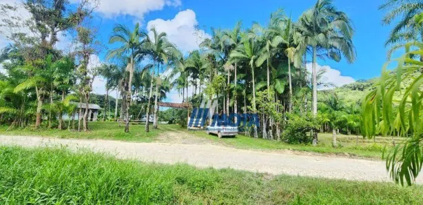 Fazenda/Sítio com 3 Quartos à venda, 300m² no Rio do Cedro, Antonina