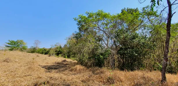 Lote/Terreno à venda, 20000m² no Zona Rural, Fortuna de Minas