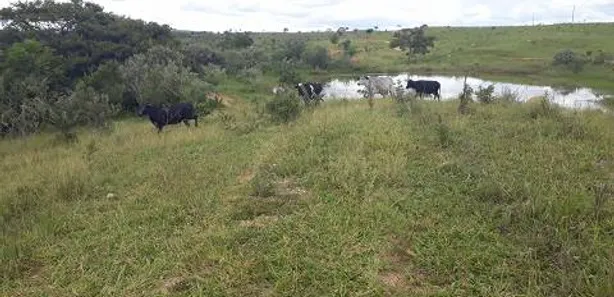 Lote/Terreno à venda, 20000m² no , Araçaí