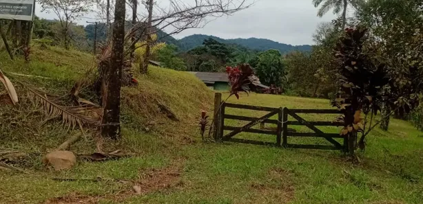 Fazenda/Sítio com 3 Quartos à venda, 338000m² no Guaraqueçaba, Guaraqueçaba