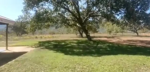 Fazenda/Sítio à venda no , Buritis