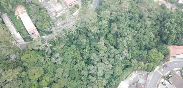 Lote/Terreno com 1 Quarto à venda, 8700m² no Suíssa, Ribeirão Pires