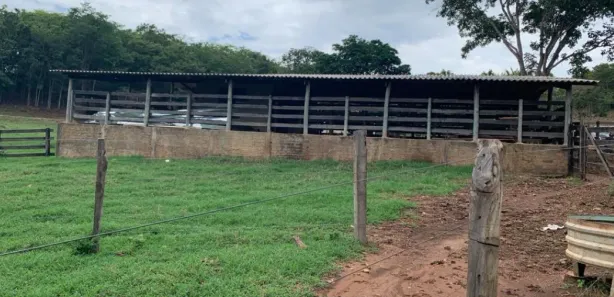 Fazenda/Sítio à venda no Vila São José, Inhumas