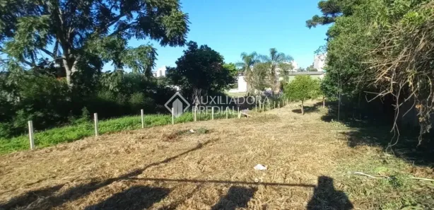 Lote/Terreno à venda, 999m² no Bela Vista, Caxias do Sul