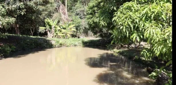 Fazenda/Sítio com 3 Quartos para venda ou aluguel, 12700m² no Chácaras Maristela, Franco da Rocha