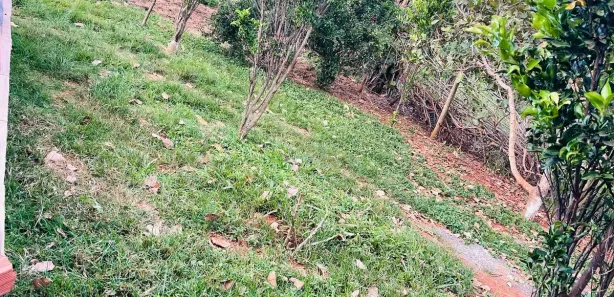Fazenda/Sítio com 2 Quartos à venda, 8000m² no Parque das Nações, Anápolis