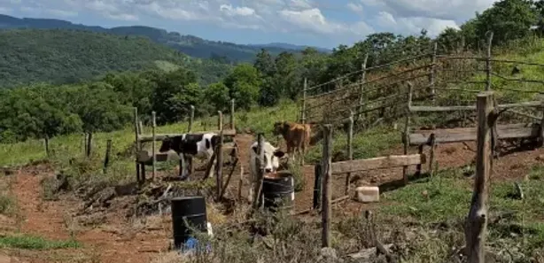 Fazenda/Sítio com 1 Quarto à venda, 60m² no , Caraá