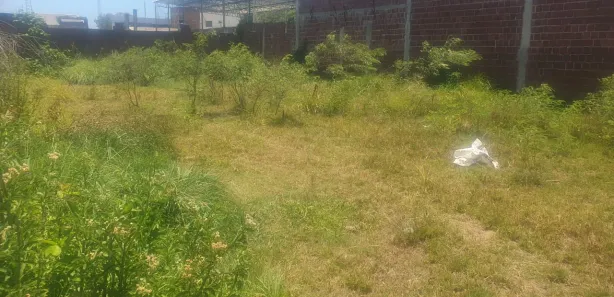 Lote/Terreno à venda, 400m² no Candeias, Jaboatão dos Guararapes