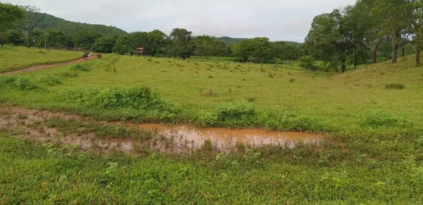 Fazenda/Sítio com 3 Quartos à venda, 130000m² no , Padre Bernardo