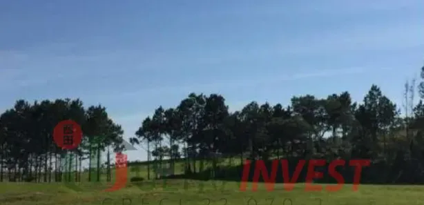 Lote/Terreno para venda ou aluguel, 1m² no Vila Artura, Sorocaba