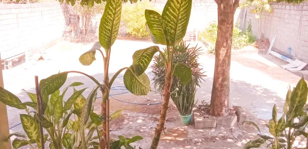 Casa com 3 Quartos à venda, 480m² no Cachoeira Da Prata, Cachoeira da Prata