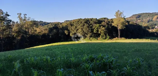 Fazenda/Sítio com 1 Quarto à venda, 20000m² no Monte Verde, Farroupilha