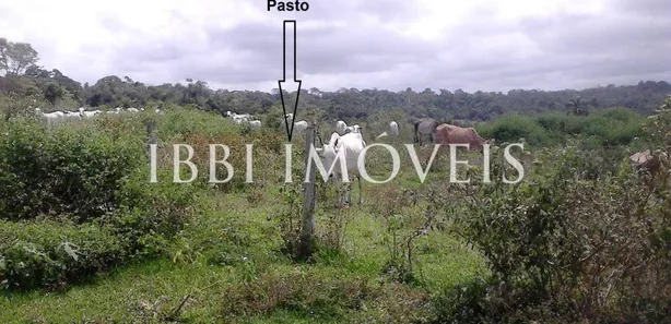 Fazenda/Sítio com 1 Quarto à venda, 24000m² no , Belmonte