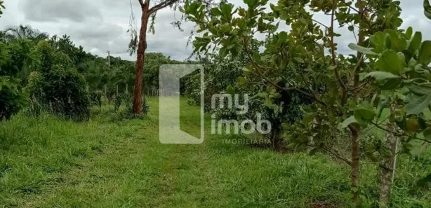 Fazenda/Sítio com 3 Quartos à venda, 120m² no Residencial Santo Antônio, Anápolis