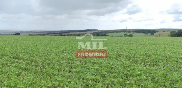 Fazenda/Sítio à venda, 20000m² no , Gameleira de Goiás