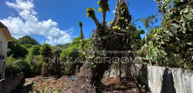 Lote/Terreno à venda, 459m² no Arraial D'Ajuda, Porto Seguro