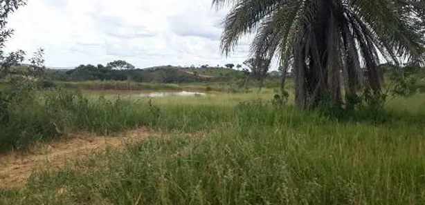 Lote/Terreno à venda, 20000m² no , Araçaí