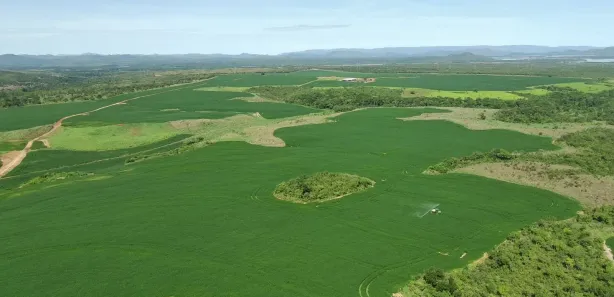 Fazenda/Sítio à venda, 18972800m² no , Niquelândia