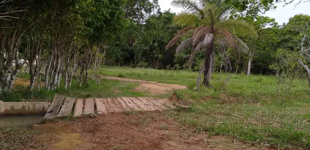 Fazenda/Sítio à venda, 49000m² no Área Rural de Valparaíso de Goiás, Valparaíso de Goiás