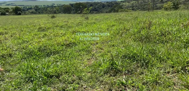 Fazenda/Sítio à venda, 70000m² no , Gameleira de Goiás