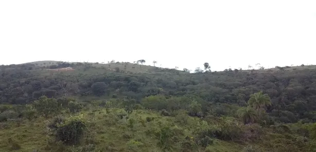 Lote/Terreno à venda, 20151m² no , Cordisburgo