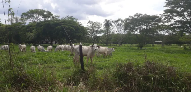 Lote/Terreno à venda, 20000m² no , Araçaí
