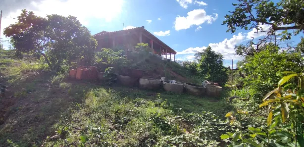 Fazenda/Sítio com 2 Quartos à venda, 5000m² no , Abadiânia