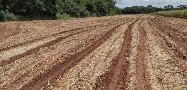 Fazenda/Sítio à venda, 247000m² no , Morro da Garça