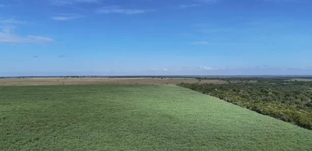 Galpão/Depósito/Armazém com 1 Quarto para alugar, 2550m² no , Ceará-Mirim