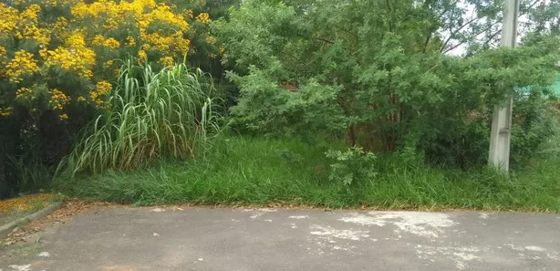 Lote/Terreno à venda, 312m² no Tamandaré, Esteio