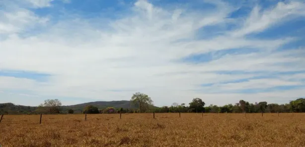 Fazenda/Sítio com 1 Quarto à venda, 400m² no , Jaraguá